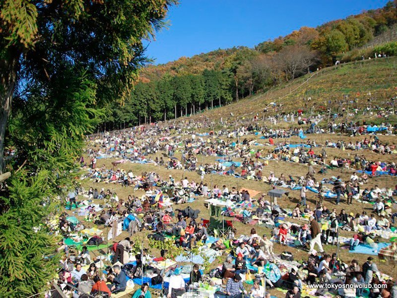 🍇 코코 팜 와이너리(코코 파무 와이나리) 이미지 9